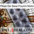 Black Ant Sex Pill 30